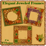 Elegant Jeweled Frames